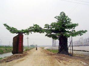 水泥榕樹(shù)門(mén)樓,仿榕樹(shù)景觀大門(mén),仿樹(shù)景觀大門(mén)
