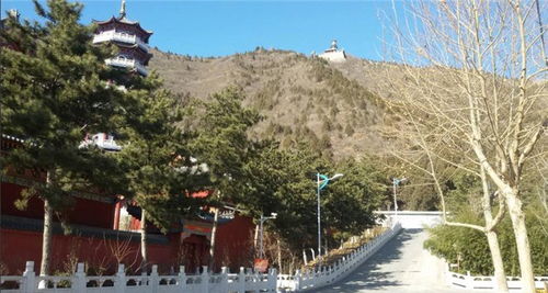園林景觀施工承建 榮藝 在線咨詢 園林景觀施工