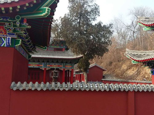 園林施工 榮藝古建施工經驗豐富 古建園林施工