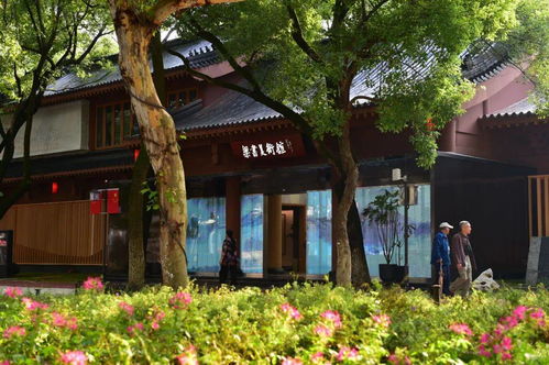 就在月底 南昌這項工作傳來重大進展,事關滕王閣 萬壽宮 八一公園