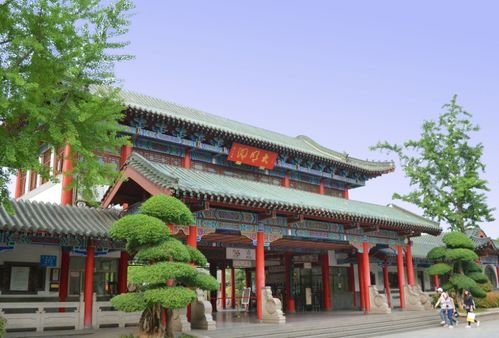 山東 性價比最高 的旅游城市 5a景區不收門票,還免費提供泉水