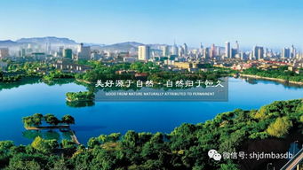 同學企業 山東旺盛集團