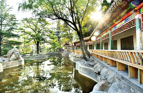 古建筑修繕保護 提升公園品質(zhì)