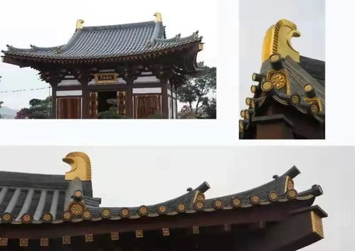 預約 寺院建筑與設計展,不可錯過的視覺盛宴