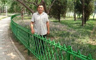 汕尾河道竹節柵欄廠家簡述