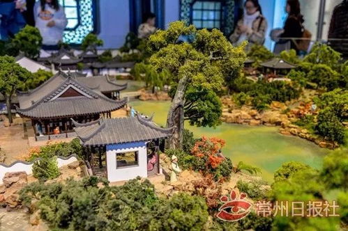 常州止園模型正在制作 我市一民營企業家出資