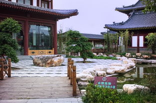 天津河濱公園 仿古建筑 3